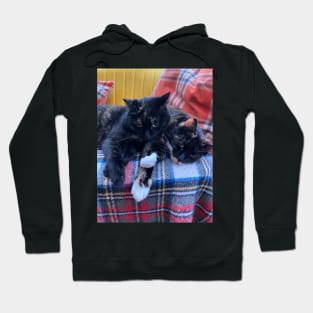 Sisterly Love - We all need a Hug, what better than a Cute Cat Cuddle! Hoodie